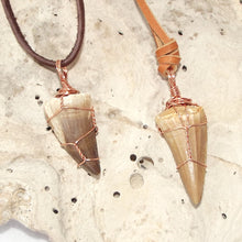 Load image into Gallery viewer, Mosasauras Tooth (66 - 82 Million Year Old Fossil) Necklace