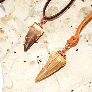 Mosasauras Tooth (66 - 82 Million Year Old Fossil) Necklace
