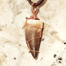 Load image into Gallery viewer, Mosasauras Tooth (66 - 82 Million Years Old) Necklace