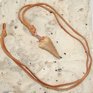 Mosasauras Tooth (66 - 82 Million Year Old Fossil) Necklace
