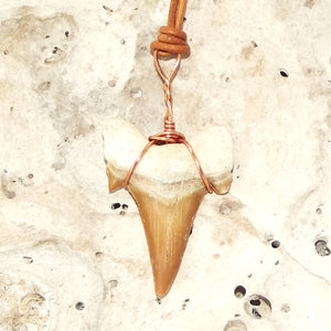 C. Auriculatus Fossil Shark Tooth (33-55 Million Years Old) Necklace