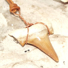Load image into Gallery viewer, C. Auriculatus Fossil Shark Tooth (33-55 Million Years Old) Necklace