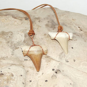 C. Auriculatus Fossil Shark Tooth (33-55 Million Years Old) Necklace