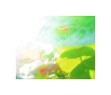 Load image into Gallery viewer, Photo Impressionism - Sea Grapes